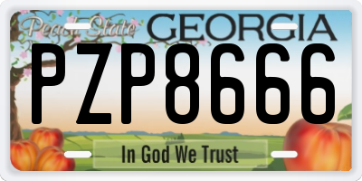 GA license plate PZP8666