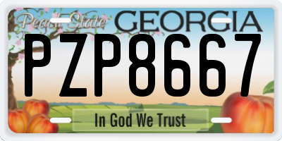 GA license plate PZP8667