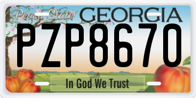 GA license plate PZP8670