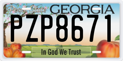 GA license plate PZP8671