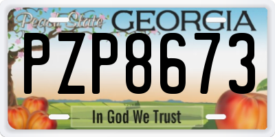 GA license plate PZP8673