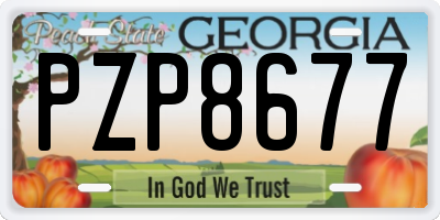GA license plate PZP8677