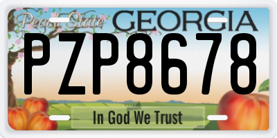 GA license plate PZP8678