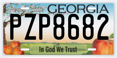 GA license plate PZP8682