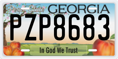 GA license plate PZP8683