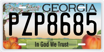 GA license plate PZP8685