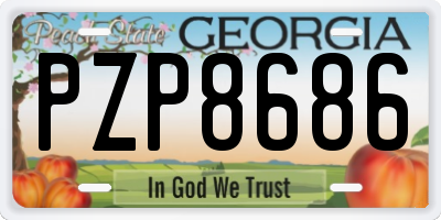 GA license plate PZP8686