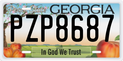 GA license plate PZP8687