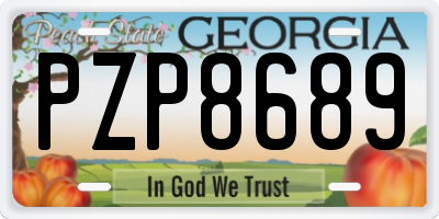 GA license plate PZP8689