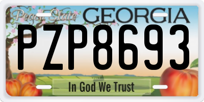 GA license plate PZP8693