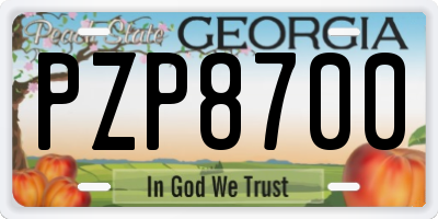 GA license plate PZP8700
