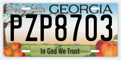 GA license plate PZP8703