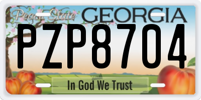 GA license plate PZP8704