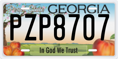 GA license plate PZP8707