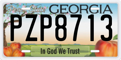 GA license plate PZP8713