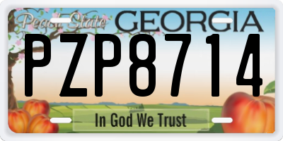 GA license plate PZP8714
