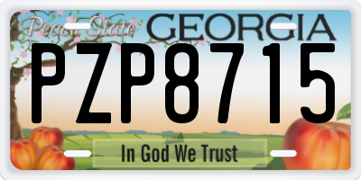 GA license plate PZP8715