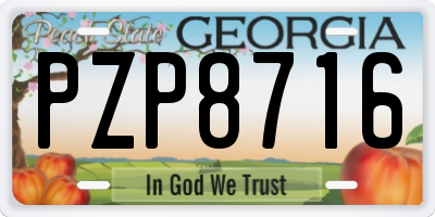 GA license plate PZP8716