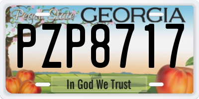 GA license plate PZP8717