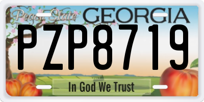 GA license plate PZP8719