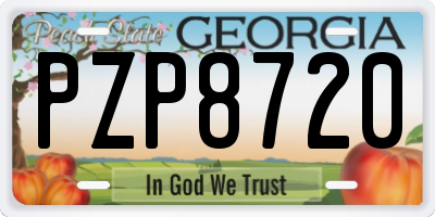 GA license plate PZP8720