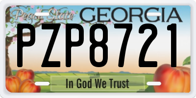 GA license plate PZP8721