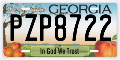 GA license plate PZP8722
