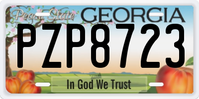 GA license plate PZP8723