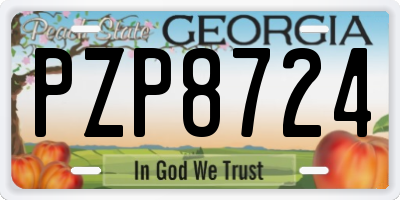 GA license plate PZP8724