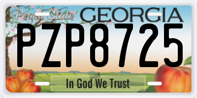 GA license plate PZP8725