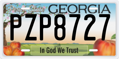 GA license plate PZP8727