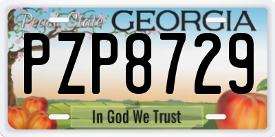 GA license plate PZP8729