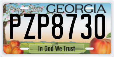 GA license plate PZP8730