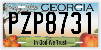 GA license plate PZP8731