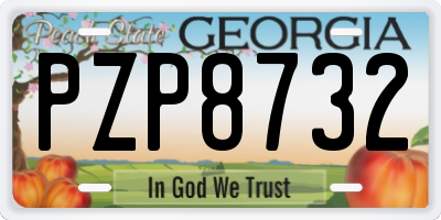 GA license plate PZP8732