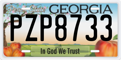 GA license plate PZP8733