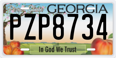 GA license plate PZP8734
