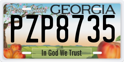 GA license plate PZP8735