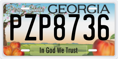 GA license plate PZP8736