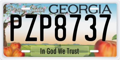 GA license plate PZP8737