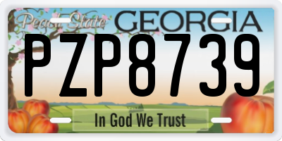 GA license plate PZP8739