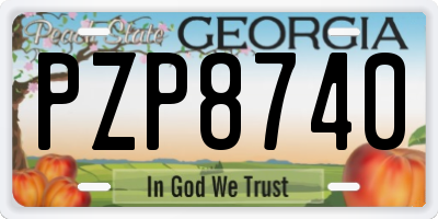GA license plate PZP8740