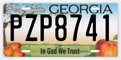 GA license plate PZP8741