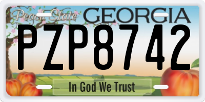 GA license plate PZP8742