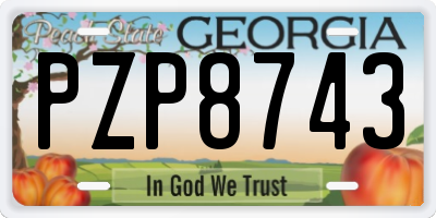 GA license plate PZP8743