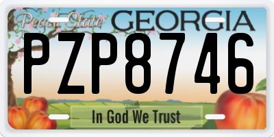 GA license plate PZP8746