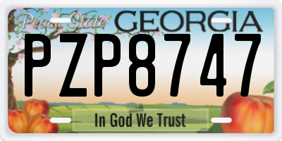 GA license plate PZP8747