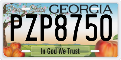 GA license plate PZP8750