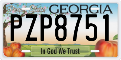 GA license plate PZP8751