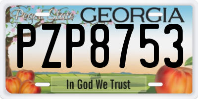GA license plate PZP8753